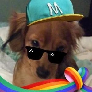 Meet your Posher, Ellen